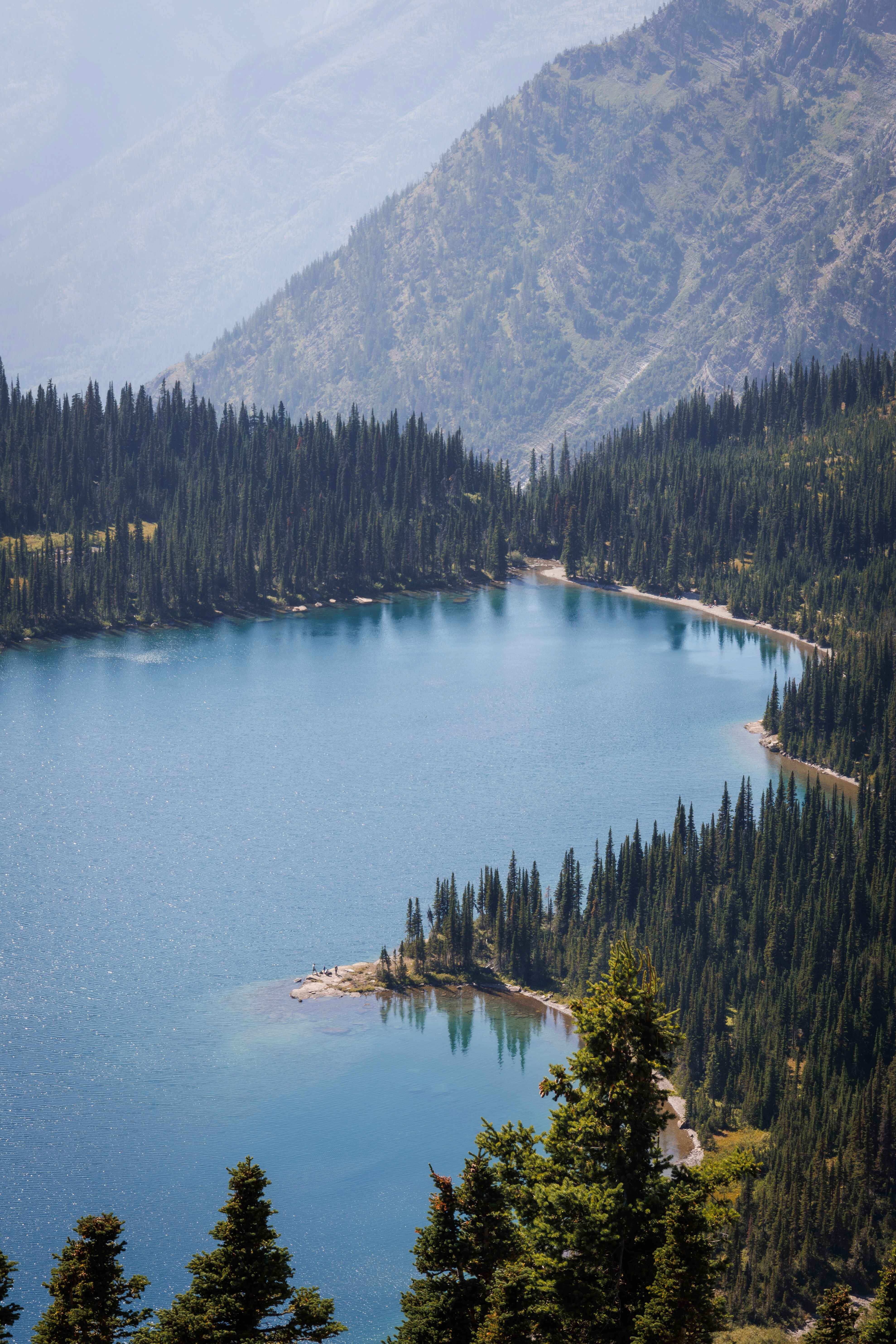 blue lake surrounded by pine trees