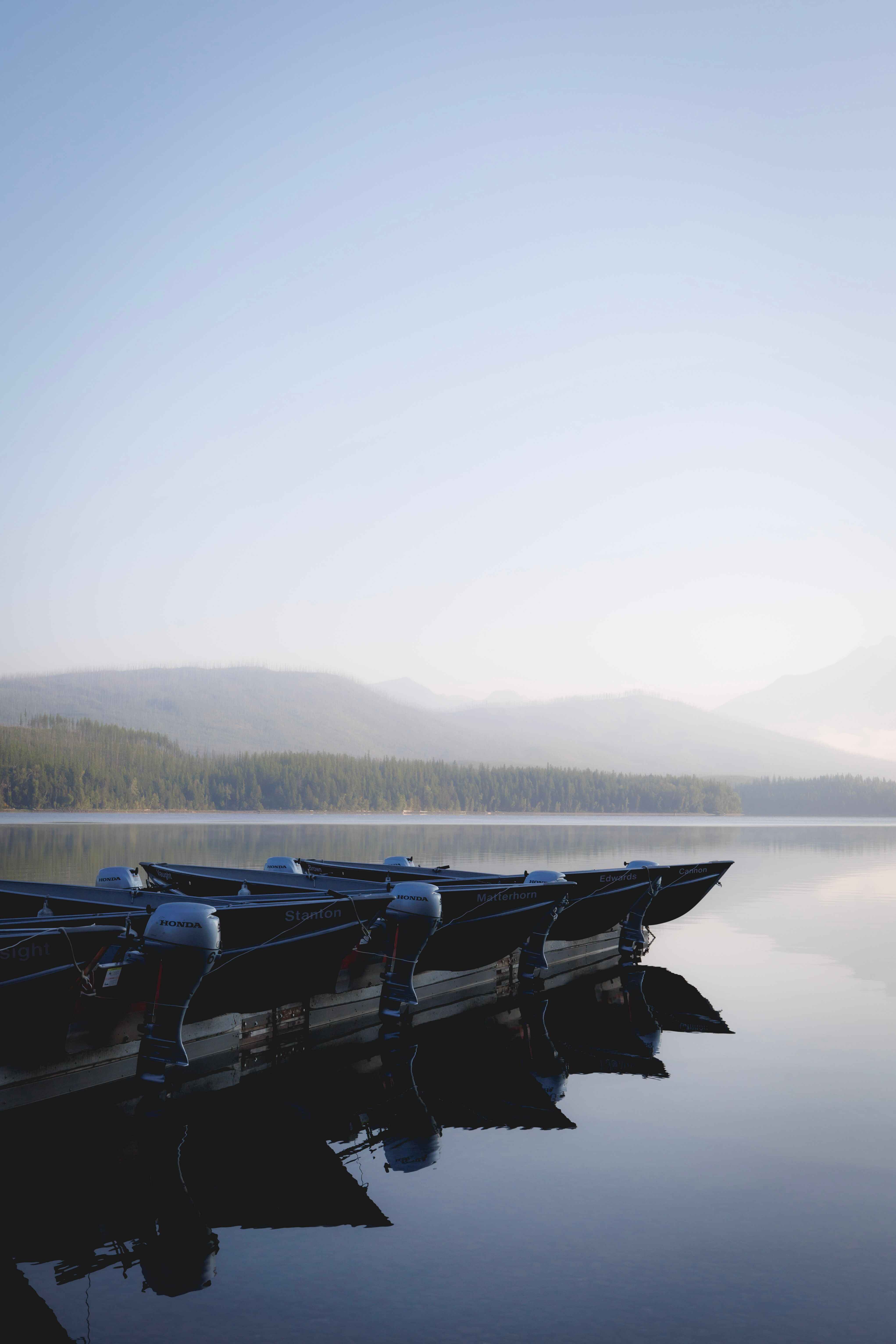 boats in a dock on a lake